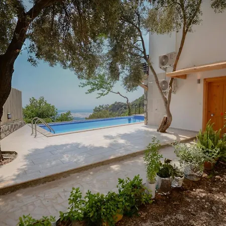Saten Kaş